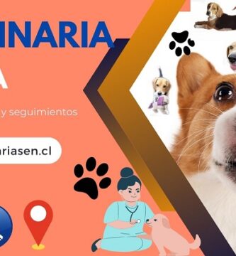 Veterinarias en Ñuñoa