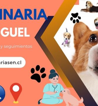 Veterinarias en san Miguel